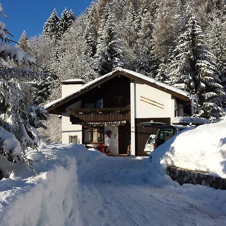 Orizzonti Montani Apartment Pieve di Cadore Exterior photo