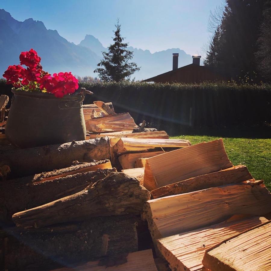 Orizzonti Montani Apartment Pieve di Cadore Exterior photo
