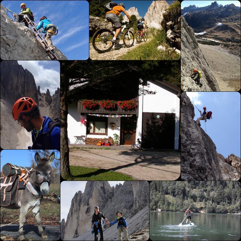 Orizzonti Montani Apartment Pieve di Cadore Exterior photo